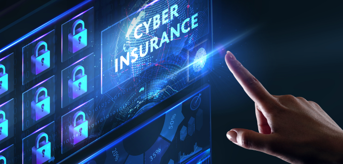 Empowering Digital Governance: The Role of Cyber Insurance