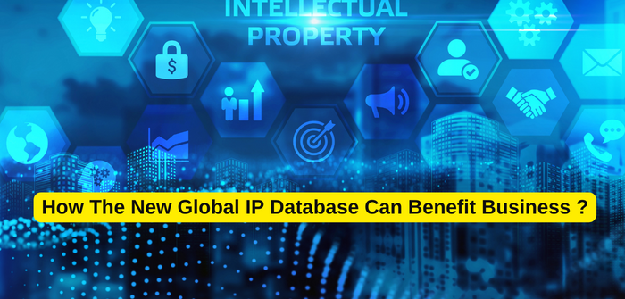How The Global IP Database Can Benefit Business?