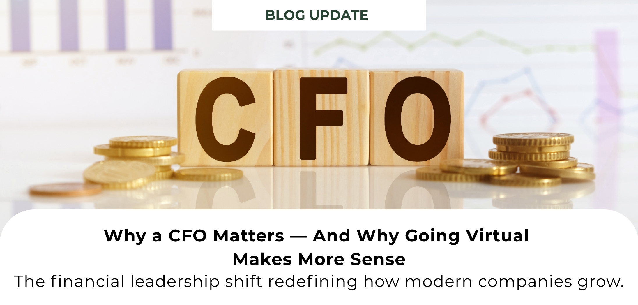 Why Every Business Needs a CFO – And Why a Virtual CFO Could Be Your Smartest Move