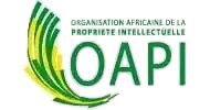 OAPI logo